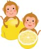 サルとレモン