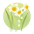 春のお花　水仙　透過PNG