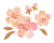 水彩な桜　透過PNG