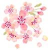 花いっぱいの桜