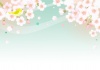 メジロと桜の風景