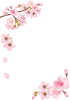 桜の枝フレーム【透過PNG】　縦