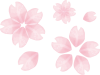 桜さくら花水彩和風日本筆滲みにじみ年賀状素材ピンク色桃色きれい綺麗円背景枠壁紙手
