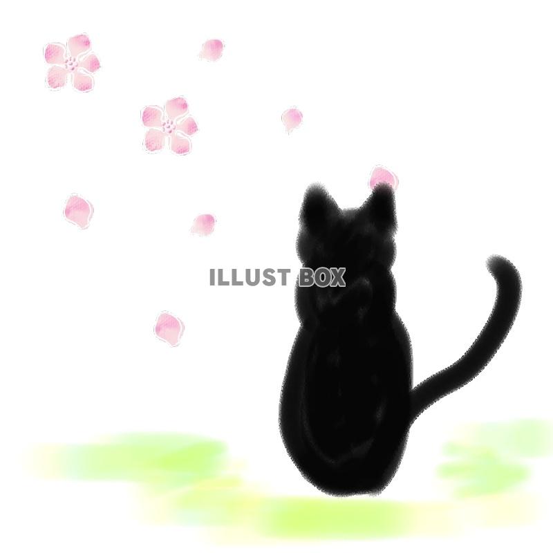 無料イラスト 猫と桜