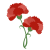 カーネーションの花　透過PNG