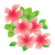 つつじの花　透過ＰＮＧ