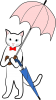 ねこと傘【PNG】