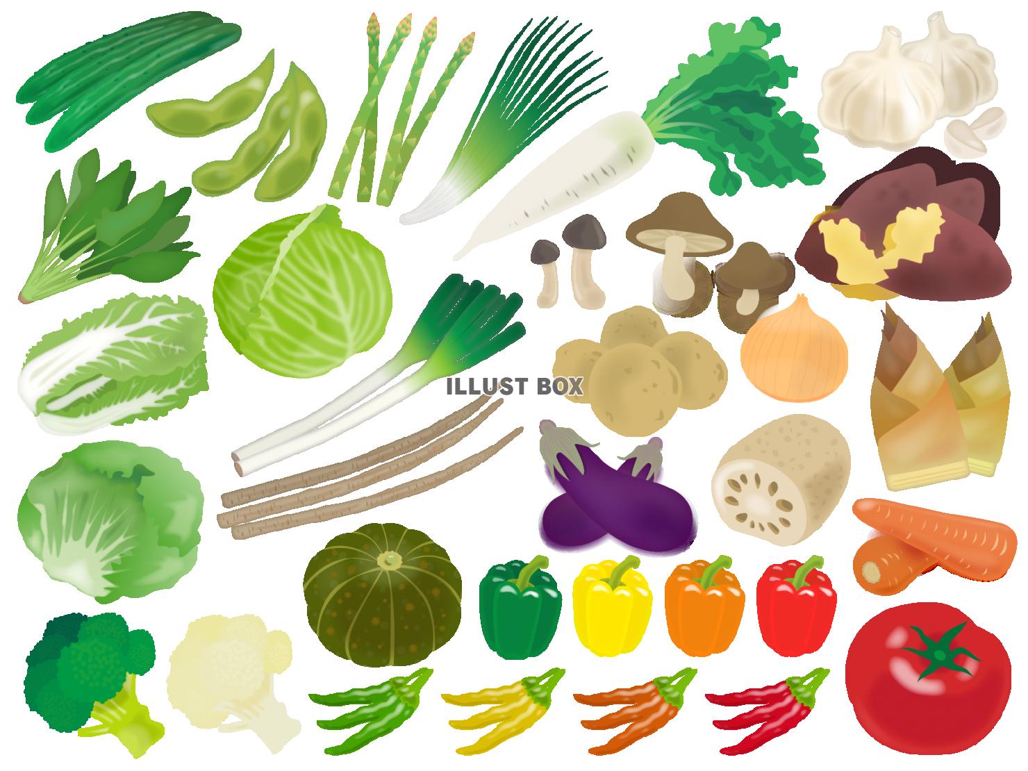 無料イラスト 野菜のイラストセット