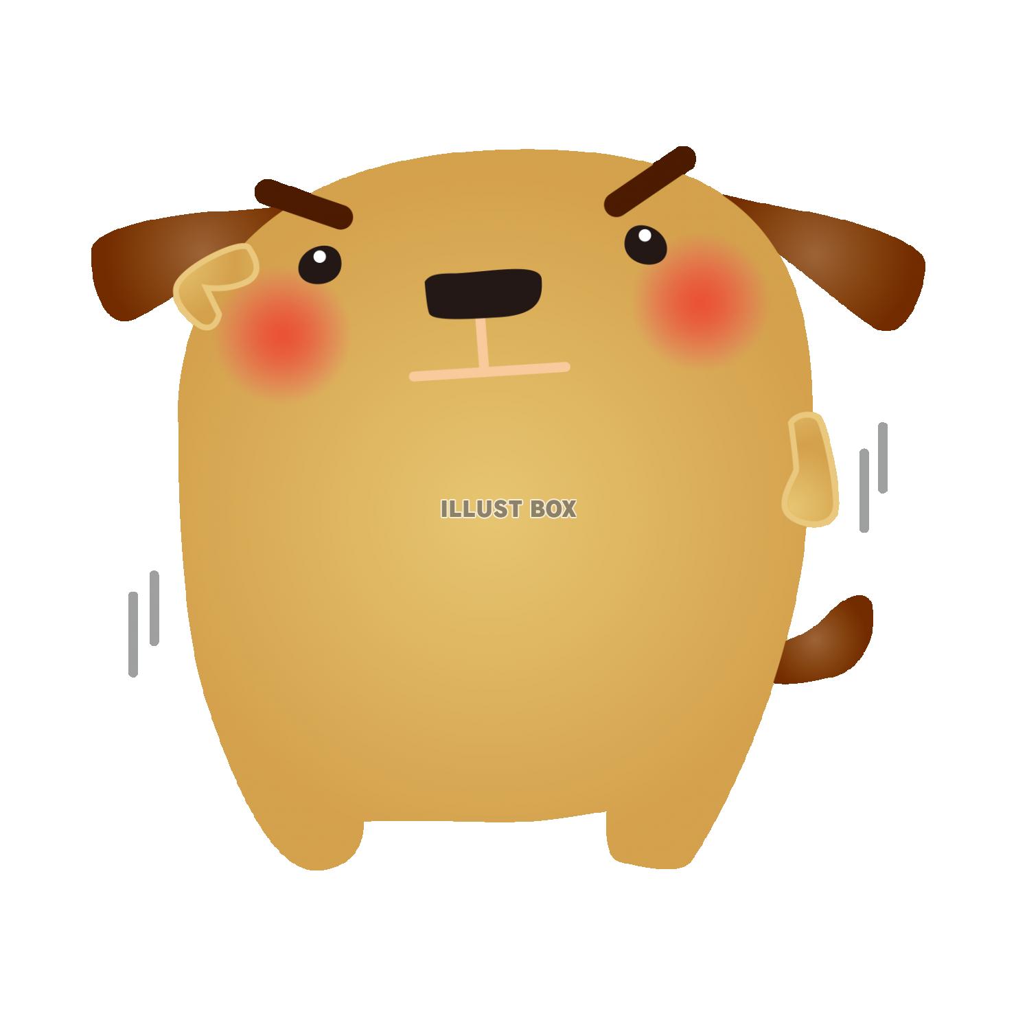 dog002