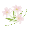無料イラスト 可愛い百合の花１