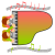 ピアノ連弾イラスト3・背景透過処理png画像