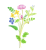 野の花　透過png