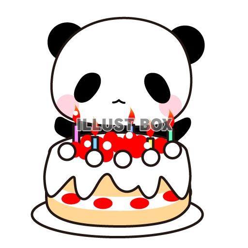 誕生日ケーキとパンダのイラスト