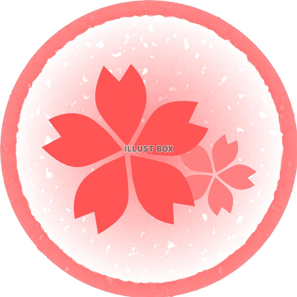 無料イラスト 桜の花 ピンク丸枠 透過png