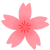 細身の桜の花　透過png