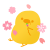 花見をして団子を食べているひよこ　透過png