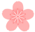 桜の花　透過png