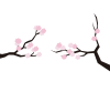 桜の枝ワンポイント