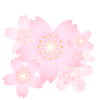 桜のイラスト4