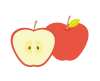 輪切りのリンゴ  透過（PNG）とベクター（EPS)データ