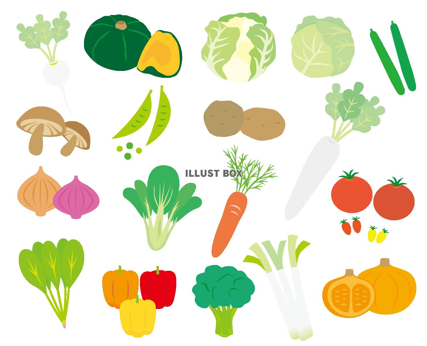 いろいろな野菜 イラスト無料