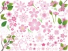桜の花　いろいろセット1