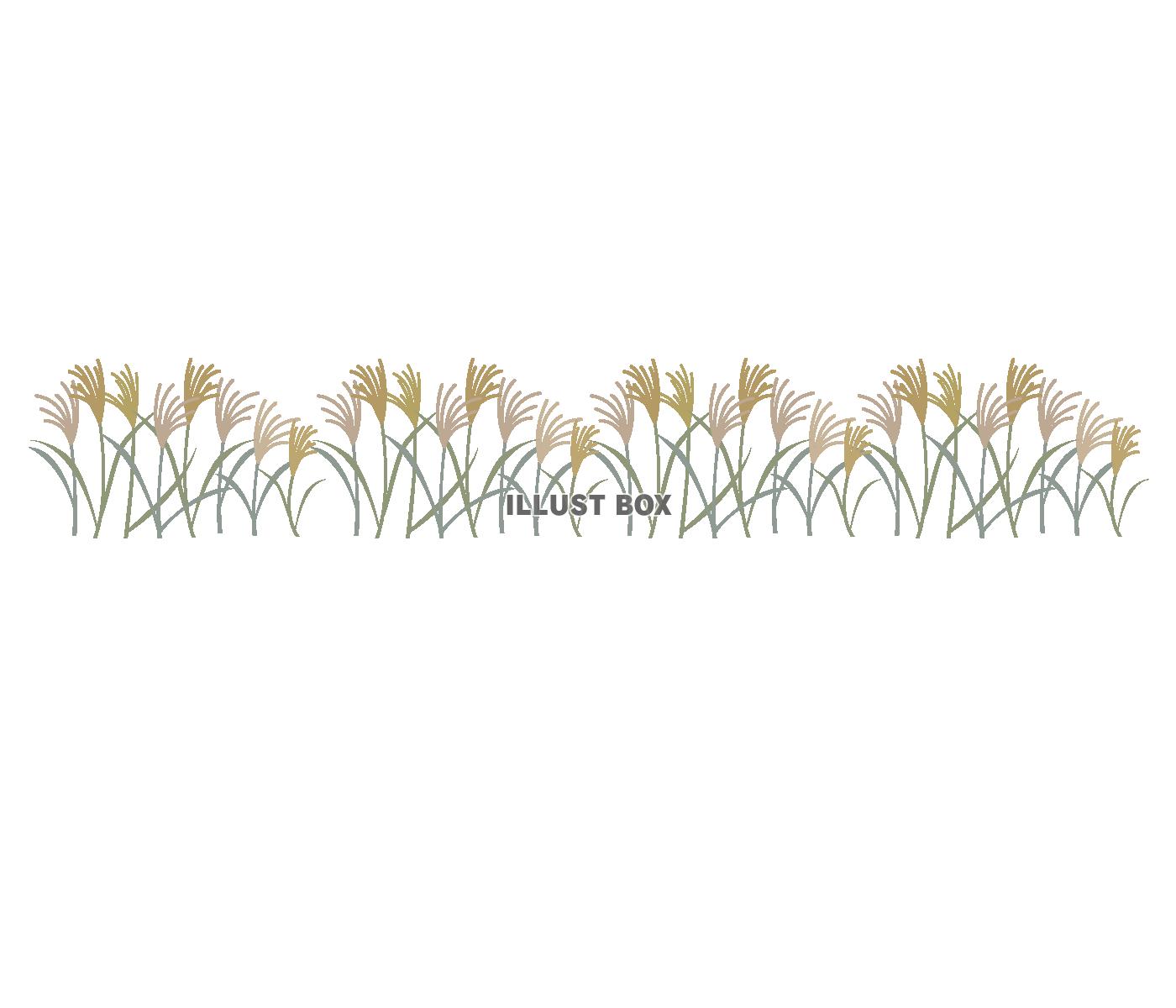 美しい花の画像 最新ススキ イラスト 簡単