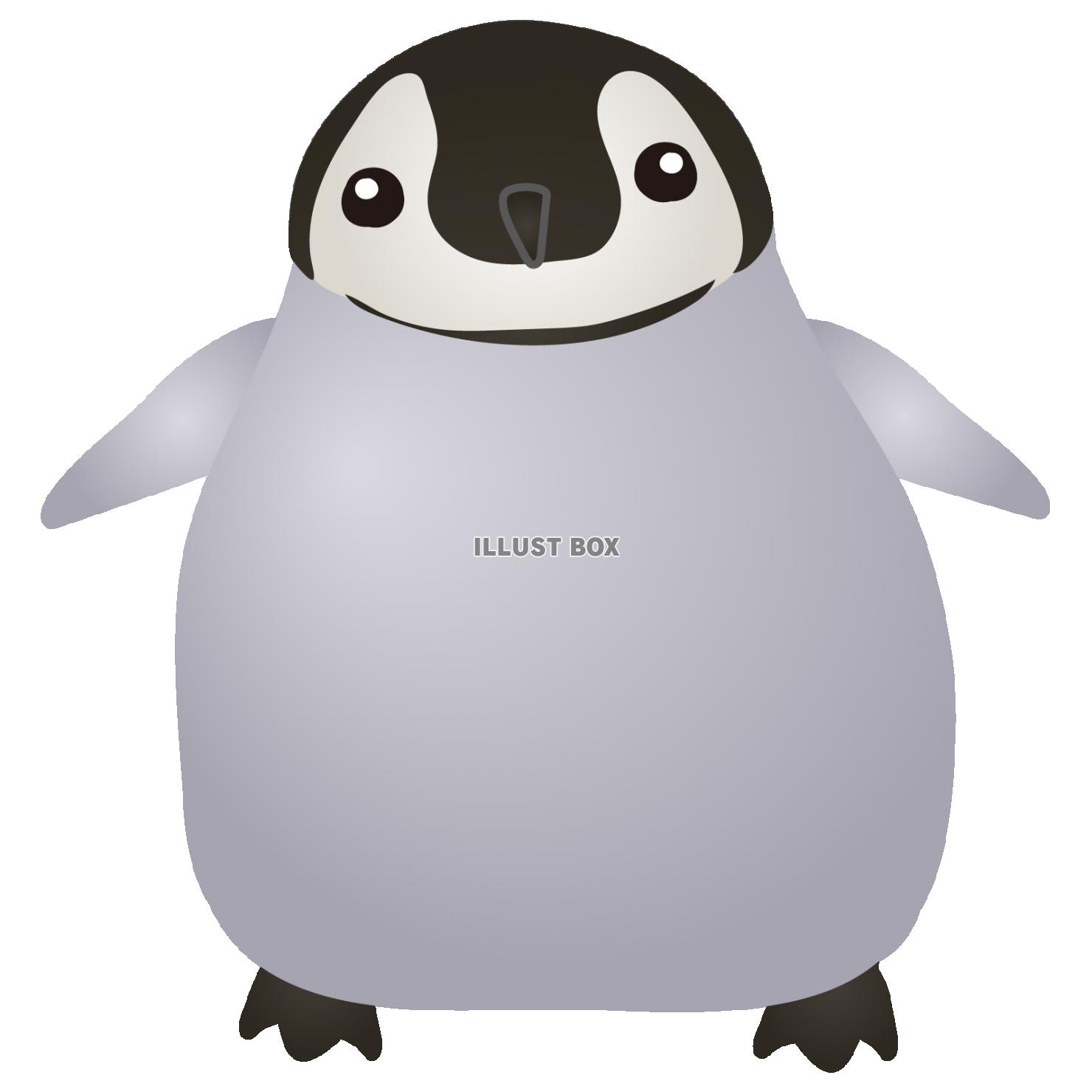 B5サイズオリジナル手描きイラスト ペンギンの赤ちゃん 即納 大特価