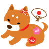 水引を付けた柴犬　透過png