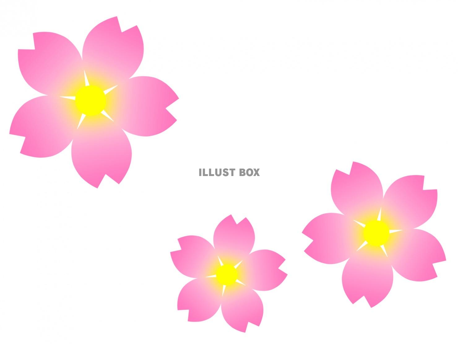 無料イラスト 桜の花