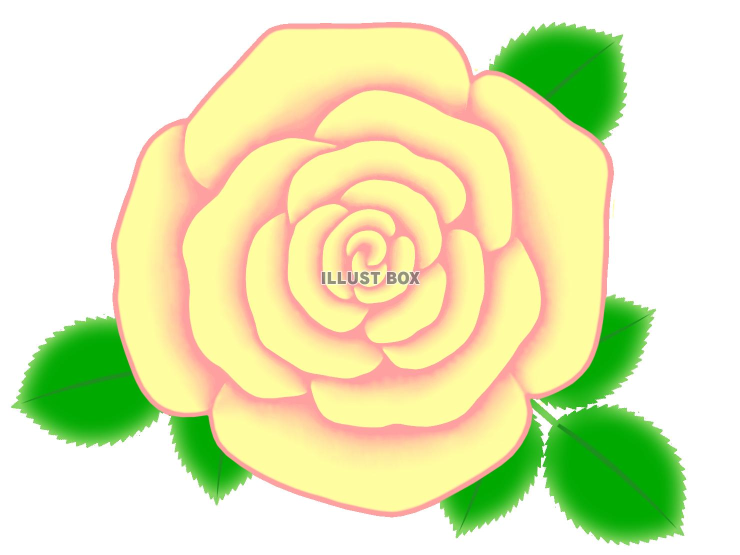 無料イラスト バラの花のワンポイントイラスト背景素材 透過png