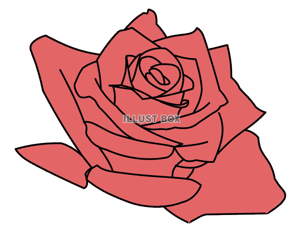 かっこいい 薔薇のイラストが無料 イラストボックス