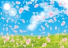 春  桜  花吹雪  桜吹雪  花  青空  三月  四月  空  雲  草原 