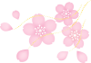 春風の桜のイラスト