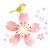 うぐいすのいる桜　透過ＰＮＧ