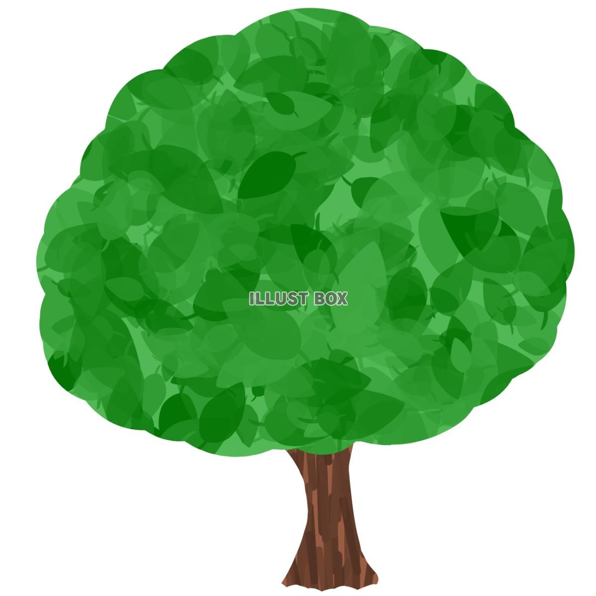 無料イラスト 緑の木