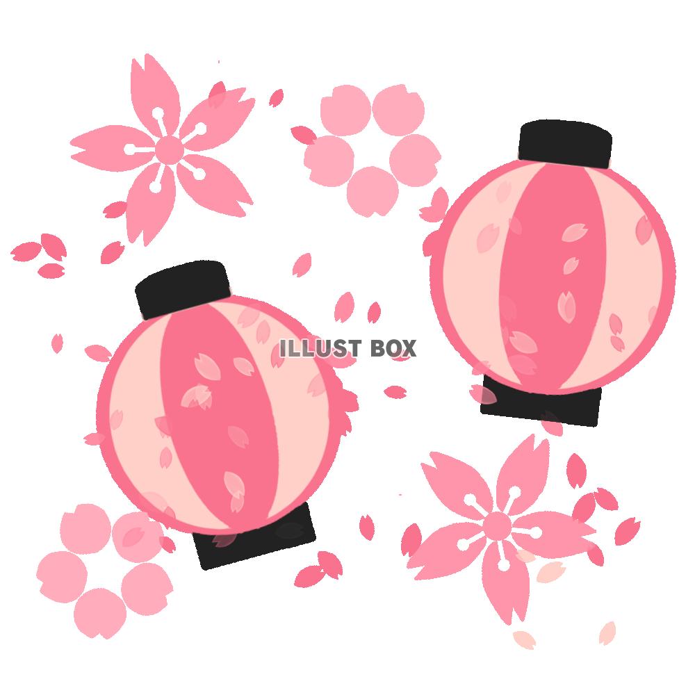 無料イラスト ピンクの提灯と桜 透過png