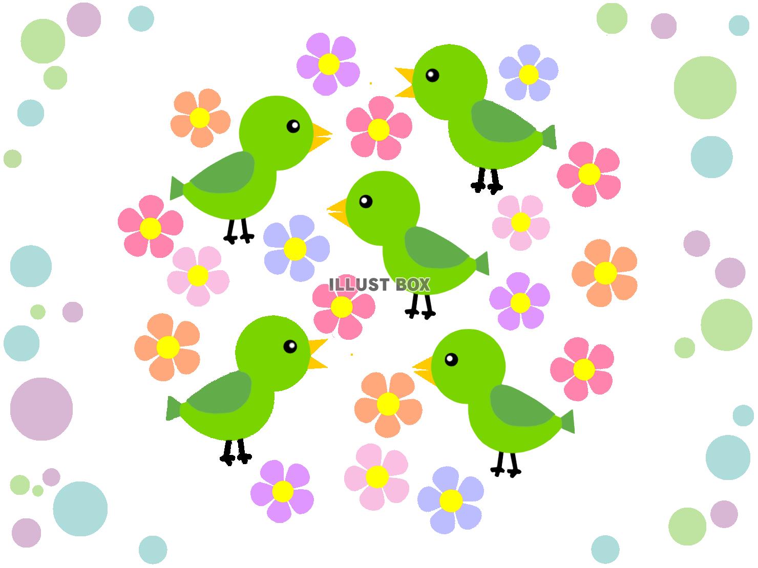 無料イラスト 小鳥と花模様の背景イラスト可愛い壁紙素材 透過png