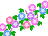 朝顔イラスト背景素材アサガオの花模様壁紙。透過PNG