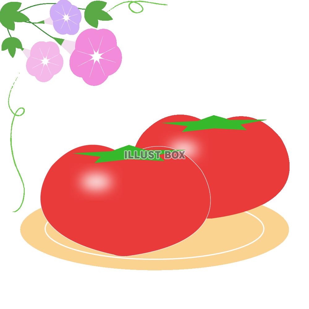 夏トマト