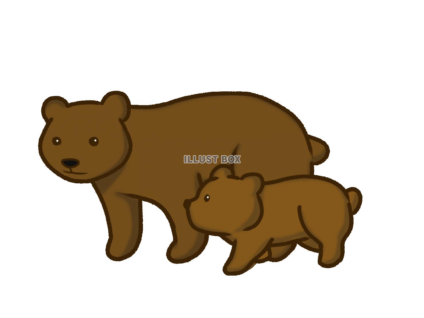 熊の親子 イラスト無料