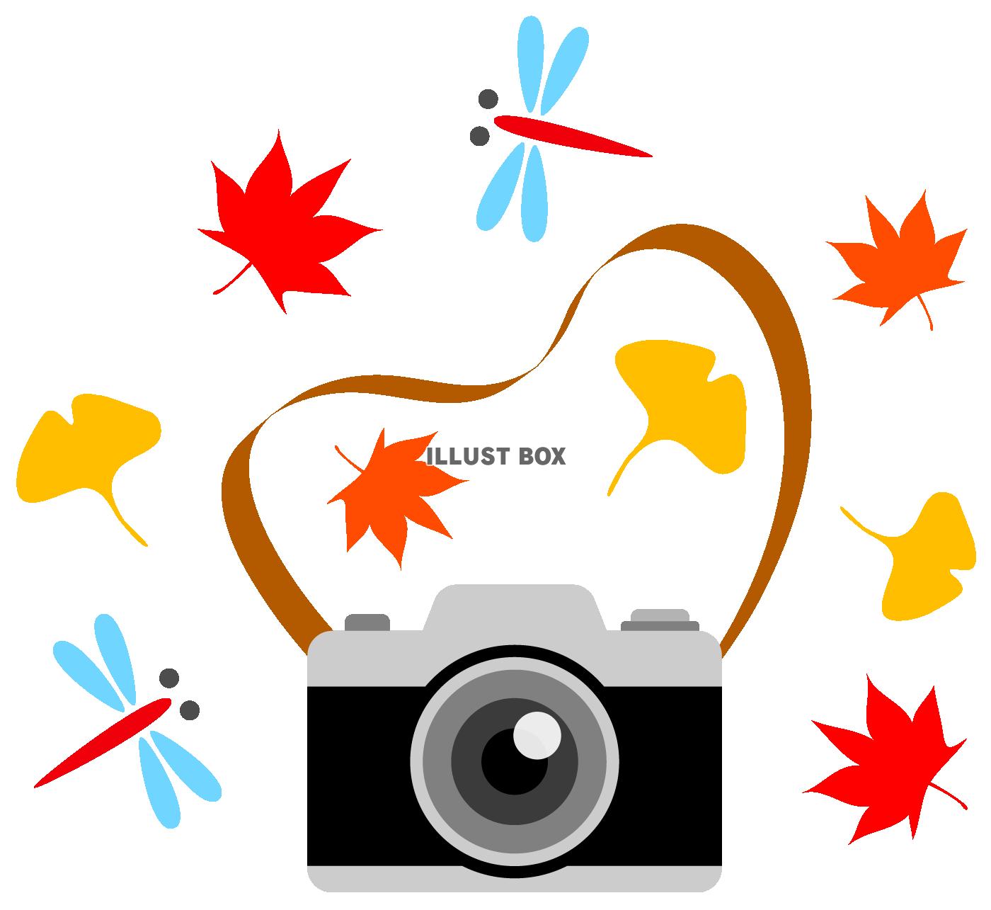 無料イラスト カメラと秋の葉とトンボ