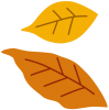  落ち葉４（秋、冬、枯れ葉）