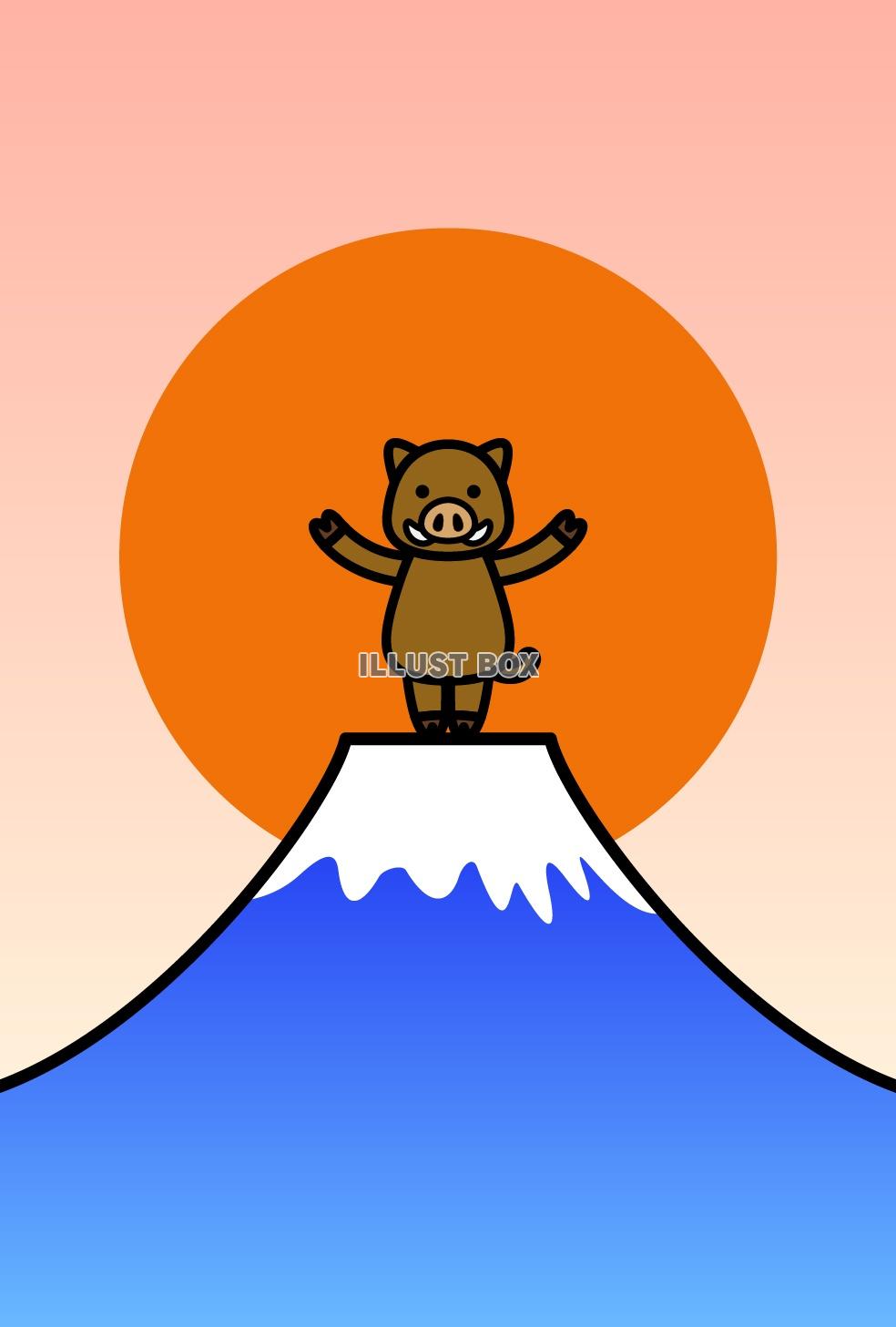 2019年（亥年）年賀状のイラスト イノシシと富士山2