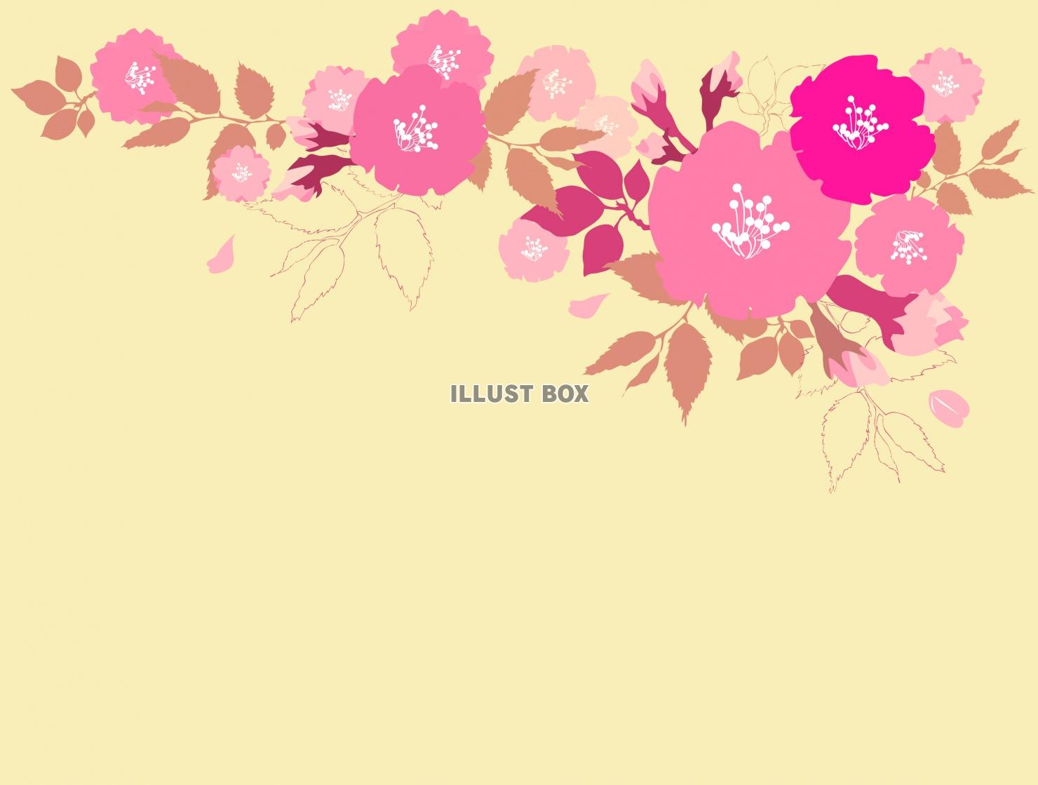 無料イラスト 桜レトロ調おしゃれフレーム枠背景花枠シンプル壁紙