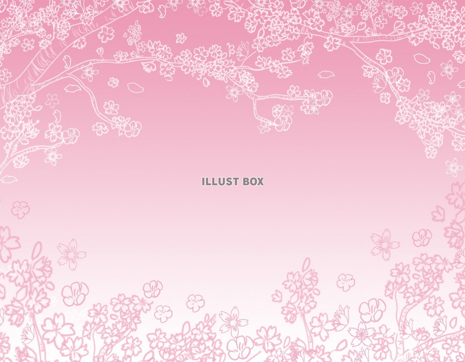無料イラスト 桜 背景 ピンク色壁紙バック シンプル 背景素材飾り 和風