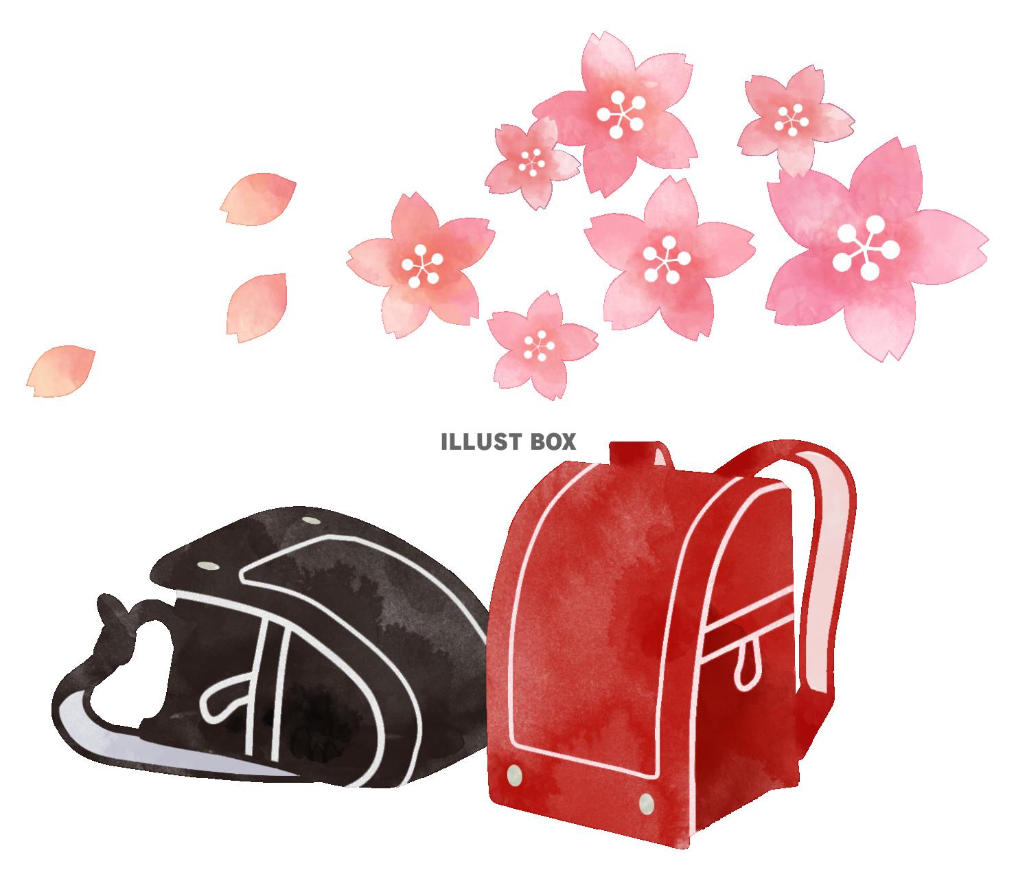 美しい花の画像 元の桜 ランドセル イラスト 無料