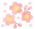 桜の花とつぼみ　透過png