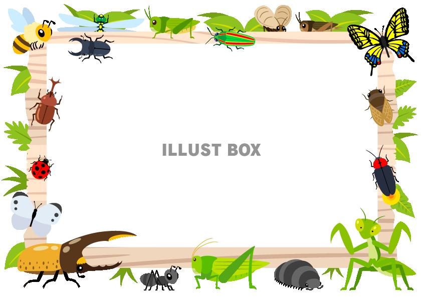 無料イラスト 看板と昆虫 フレームa