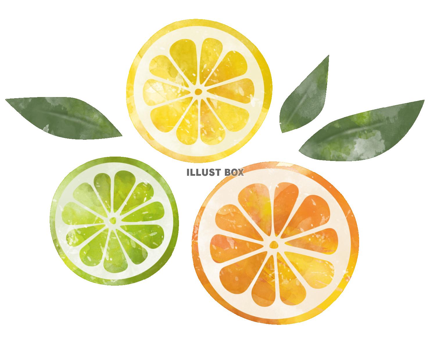 最も選択された Lemon イラスト イラスト画像検索エンジン